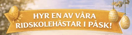 HYR EN AV VÅRA RIDSKOLEHÄSTAR!