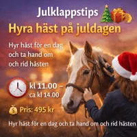 JULKLAPPSTIPS – HYRA HÄST PÅ JULDAGEN