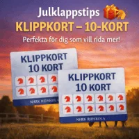 JULKLAPPSTIPS: KLIPPKORT – 10-KORT