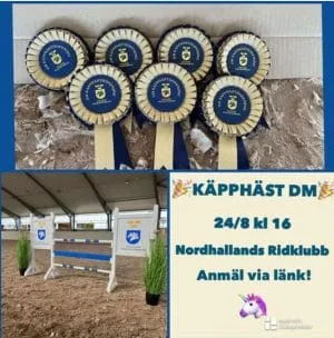 KÄPPHÄST DM 24 AUGUSTI KL 16