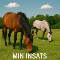 MIN INSATS HT 25