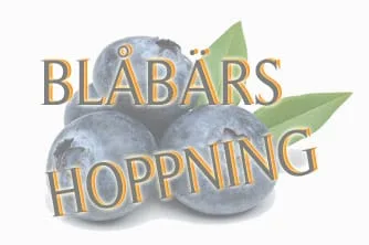 NHRK INSATS BLÅBÄRSHOPPNING 8/9