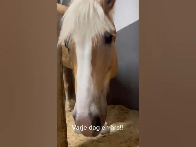 NHRK´S EGNA SÅNG