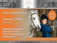 PONNYPROMENAD – KRISTI HIMMELSFÄRD HOS NHRK 29 MAJ!