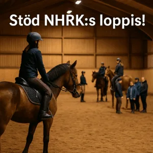 RÄTTELSE – JULSHOW & LOPPIS DEN 14 DECEMBER!