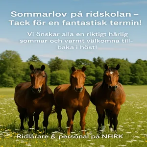 SOMMARLOV PÅ RIDSKOLAN – TACK FÖR EN FANTASTISK TERMIN!