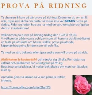 SUGEN ATT TESTA PÅ ATT RIDA?