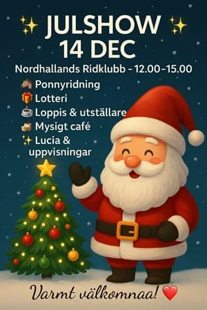 VÄLKOMMEN TILL ÅRETS JULSHOW SÖNDAG 14 DECEMBER!